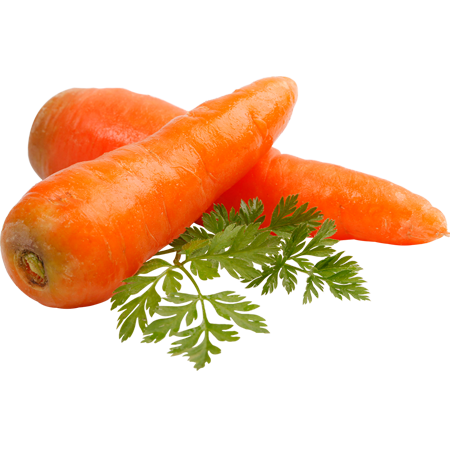 Siddhoboil Agro Products