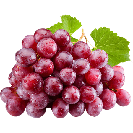 Siddhoboil Agro Products