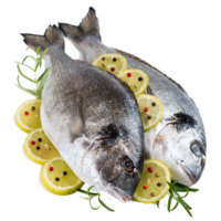 Fresh Fish