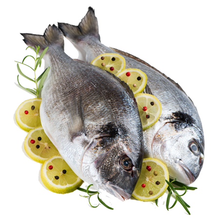 Siddhoboil Agro Products