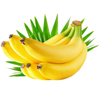 Fresh Banana