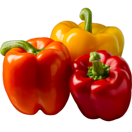 Siddhoboil Agro Products