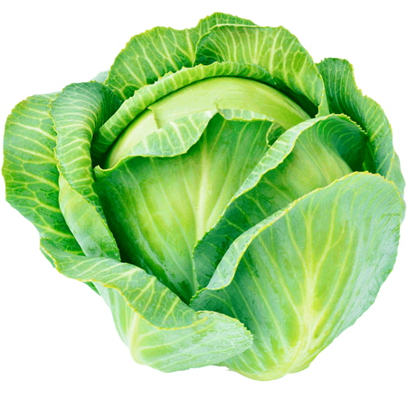 Siddhoboil Agro Products